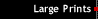 Largeprint