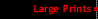 Largeprint